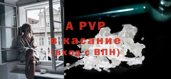 ECSTASY Каменногорск