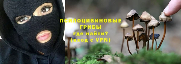 мет Каменск-Шахтинский