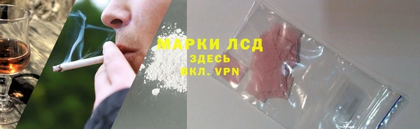 ПСИЛОЦИБИНОВЫЕ ГРИБЫ Иннополис