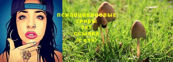 мет Каменск-Шахтинский
