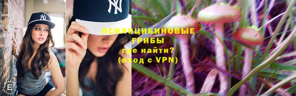 мет Каменск-Шахтинский