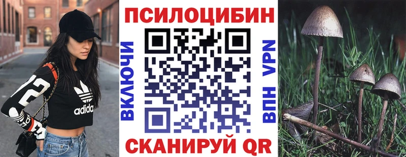 Галлюциногенные грибы Magic Shrooms Суровикино