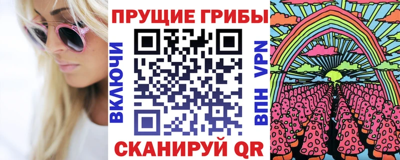 Псилоцибиновые грибы Psilocybe  Купить закладки  Суровикино 