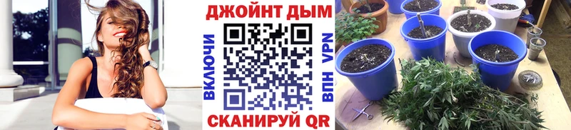 Купить где  Суровикино  Конопля White Widow 
